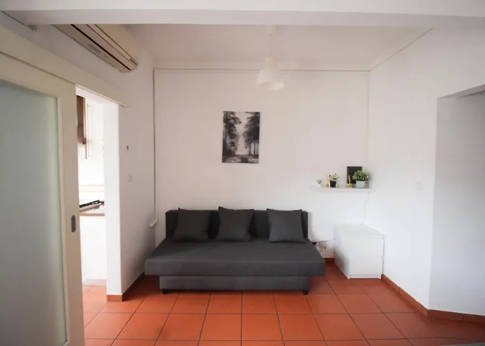 Oriente Dna Vi Daire