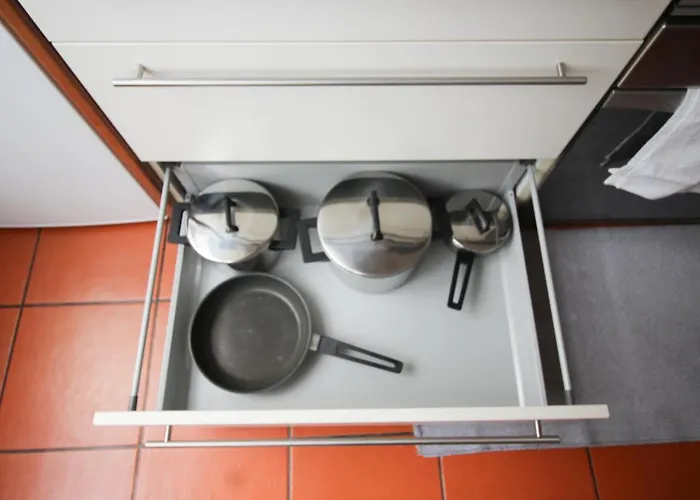 Oriente Dna Vi Daire *